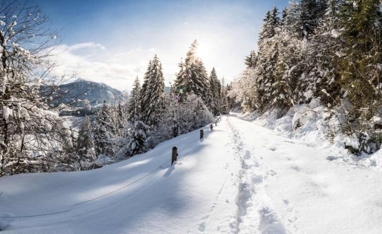 Verschneiter Weg beim Winterwandern in Flachau